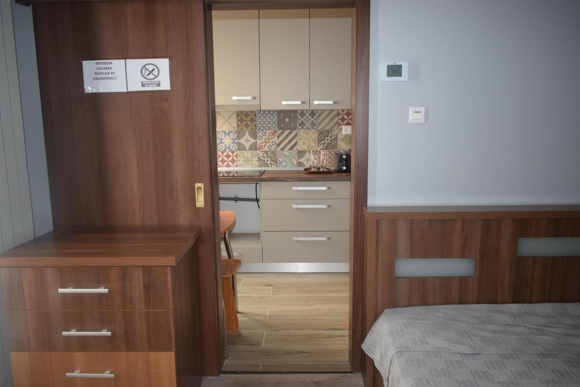 Apartament Nicolae Iorga Rhbm Baia Mare Dış mekan fotoğraf